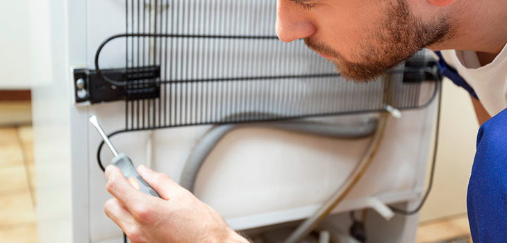 Fridge Repairs - Domex Ltd