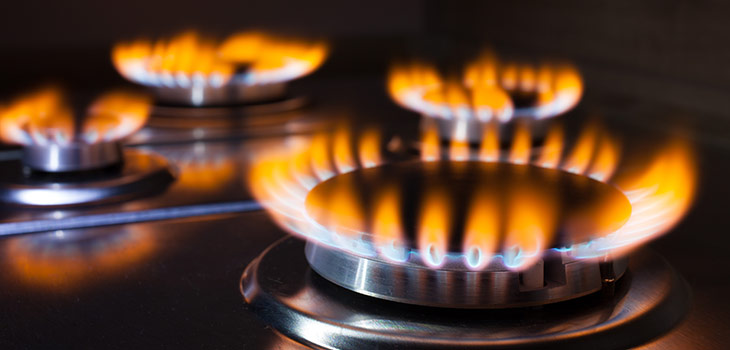 Cooker - Domex Ltd