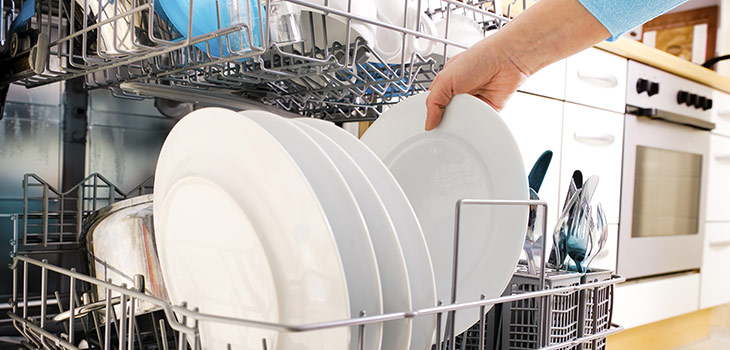Dishwasher - Domex Ltd