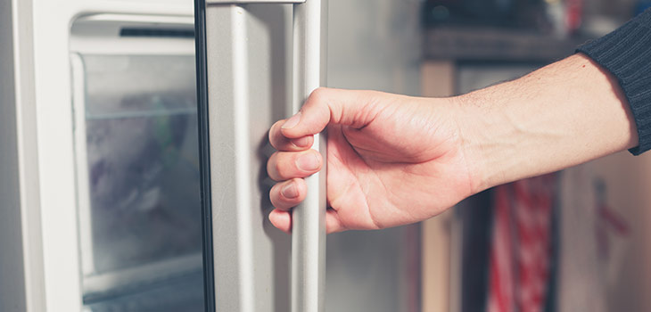 Fridge Freezer - Domex Ltd