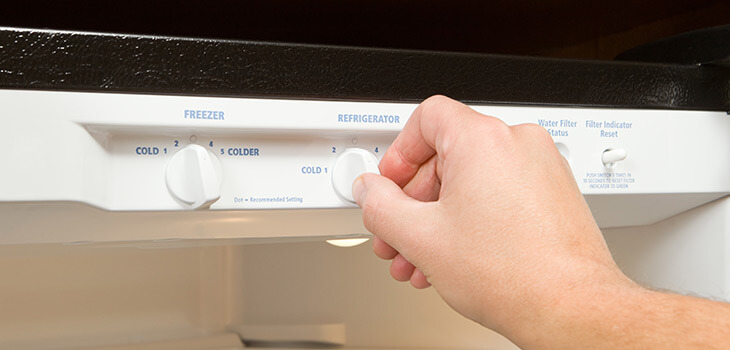 Why is my fridge freezing my food? - Domex Ltd