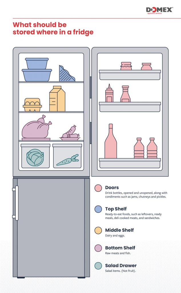 What should be stored in a fridge and where [Infographic] by Domex Ltd